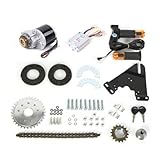 DCSYOG Kit di conversione per bicicletta elettrica, 24 V, 350 W, con motore a spazzola a ruota libera